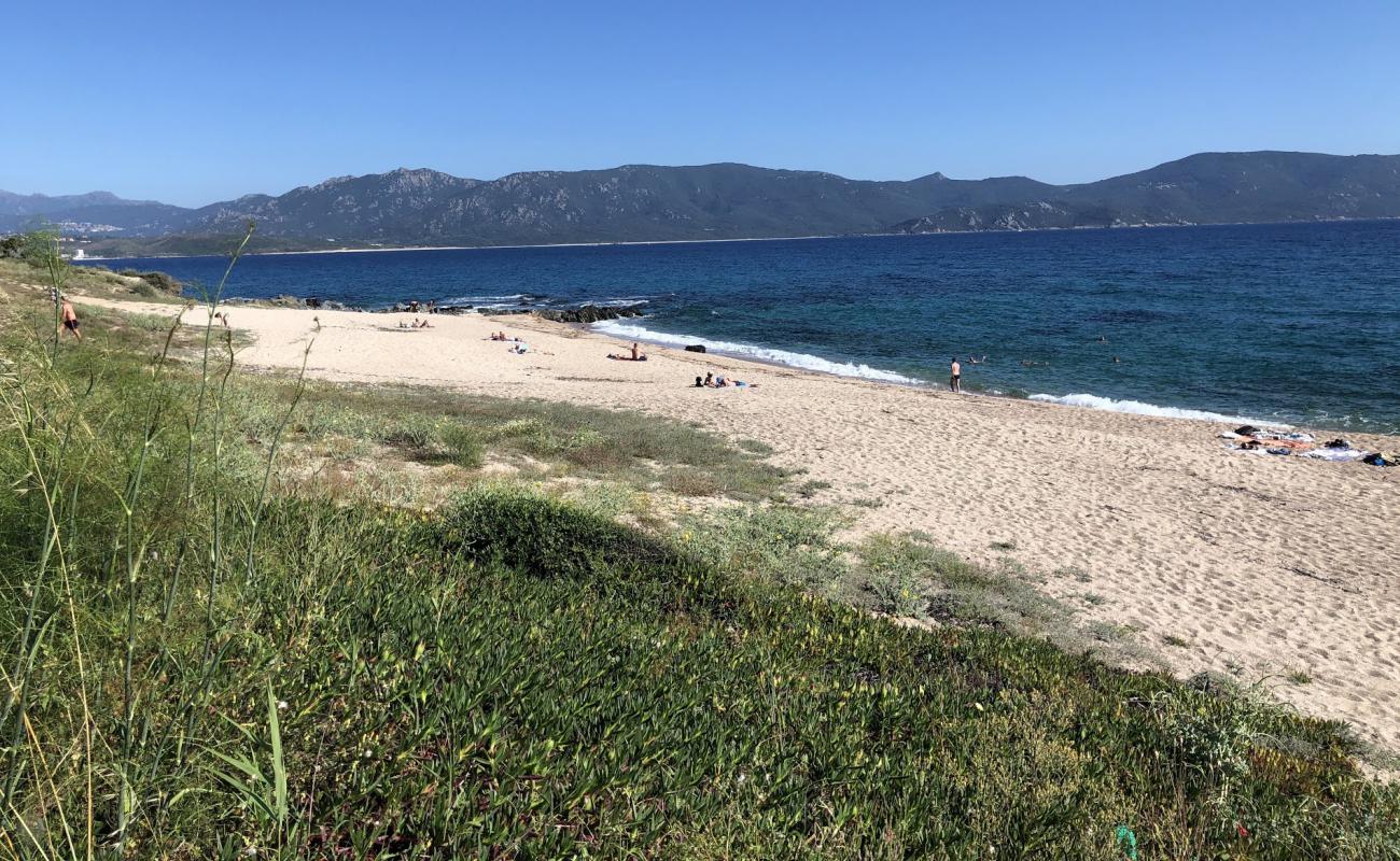 Photo de Scodi Neri beach II avec sable fin et lumineux de surface