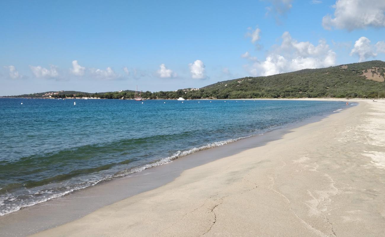 Photo de beach of Taravo avec sable beige fin de surface