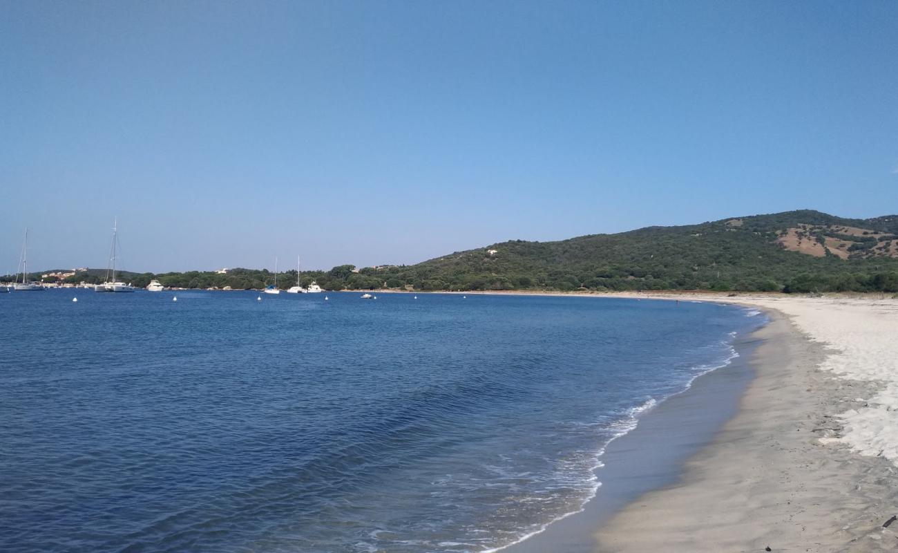 Photo de Caseddu beach avec sable beige fin de surface
