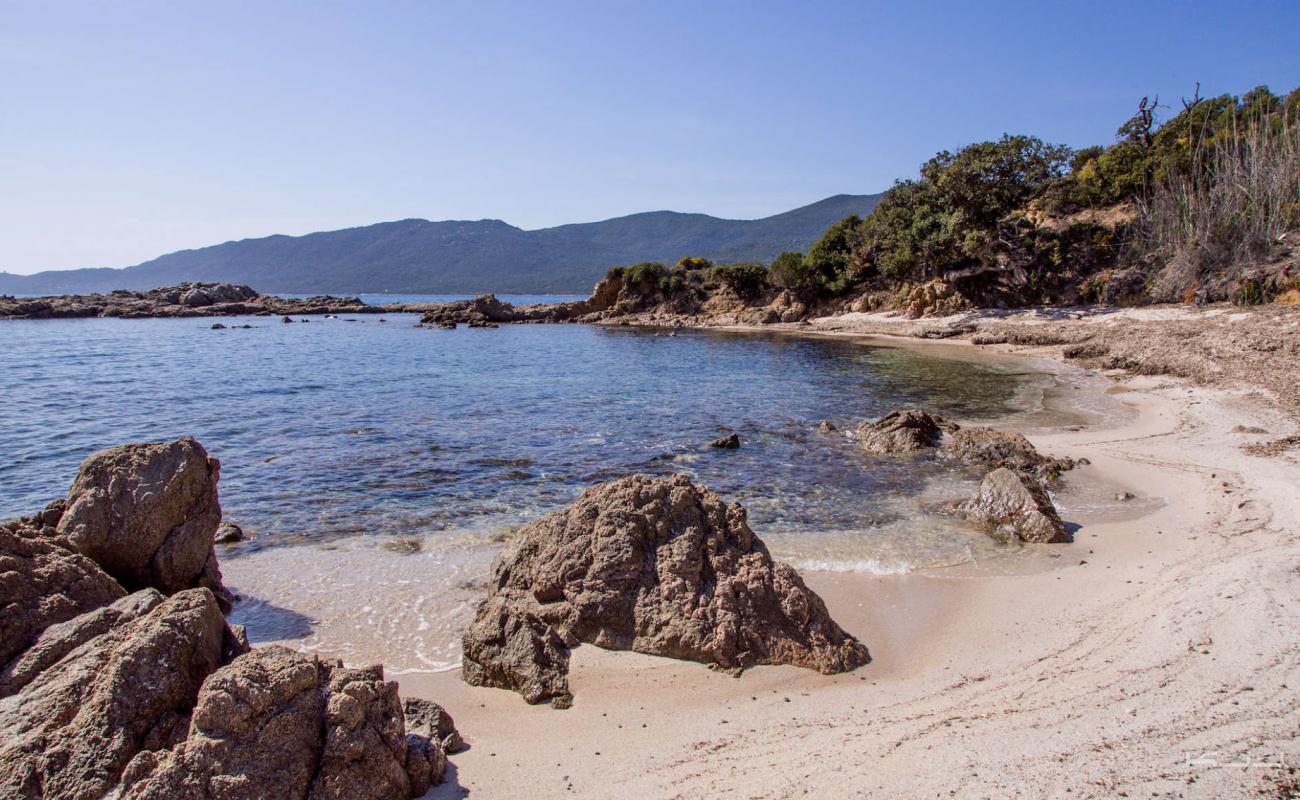 Photo de Capanella beach avec sable brillant et rochers de surface