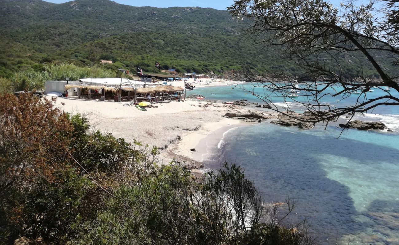 Photo de Cala d'Orzo avec sable fin et lumineux de surface