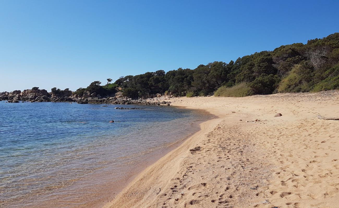Photo de Arena Rossa II avec sable beige fin de surface