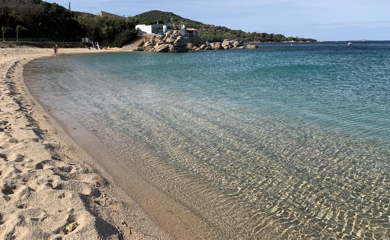 Photo de Plage de Verghia avec sable fin et lumineux de surface