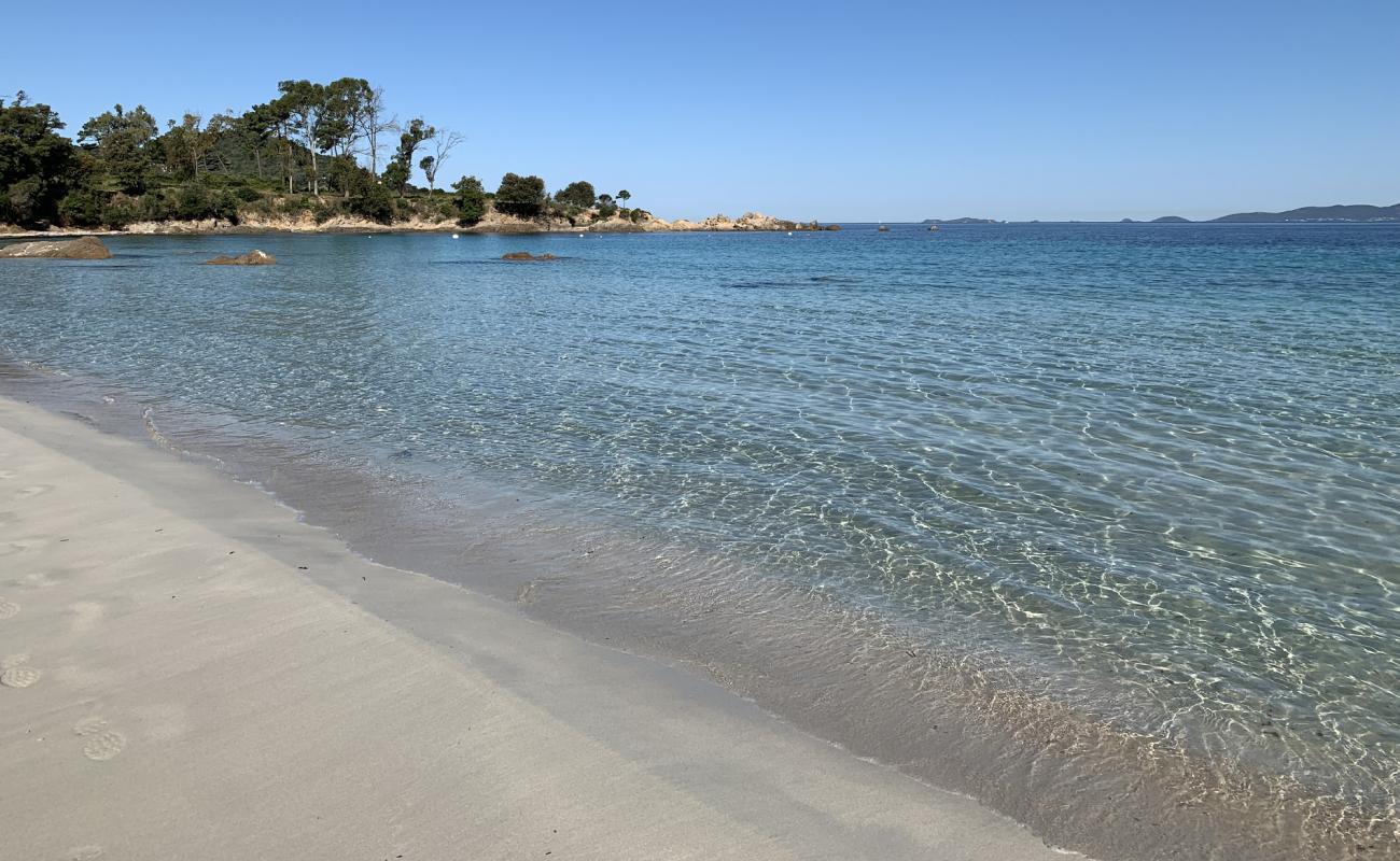 Photo de Plage Mare E Sole avec sable fin et lumineux de surface