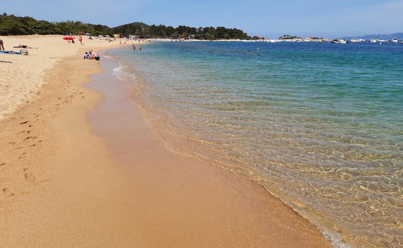 Photo de Isolella long beach avec sable fin et lumineux de surface