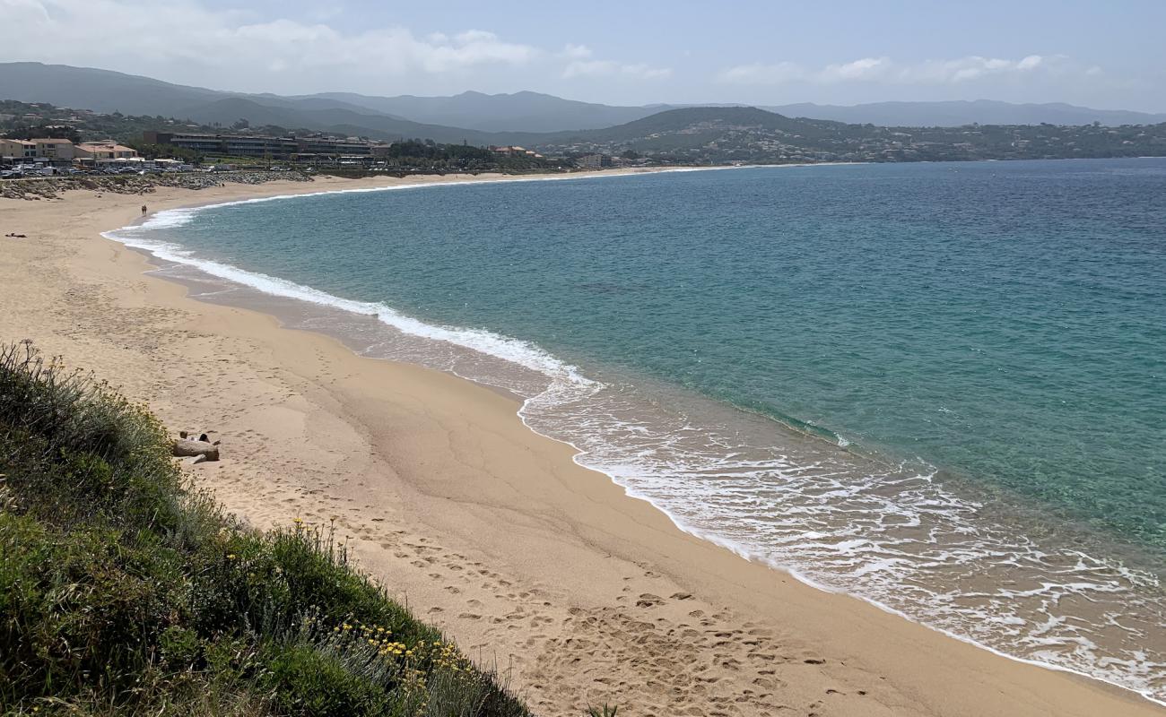 Photo de Agosta beach III avec sable fin et lumineux de surface