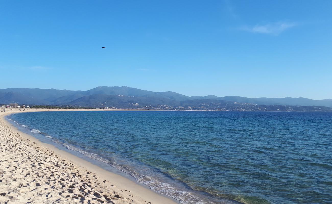 Photo de Plage de Ricanto avec sable fin et lumineux de surface