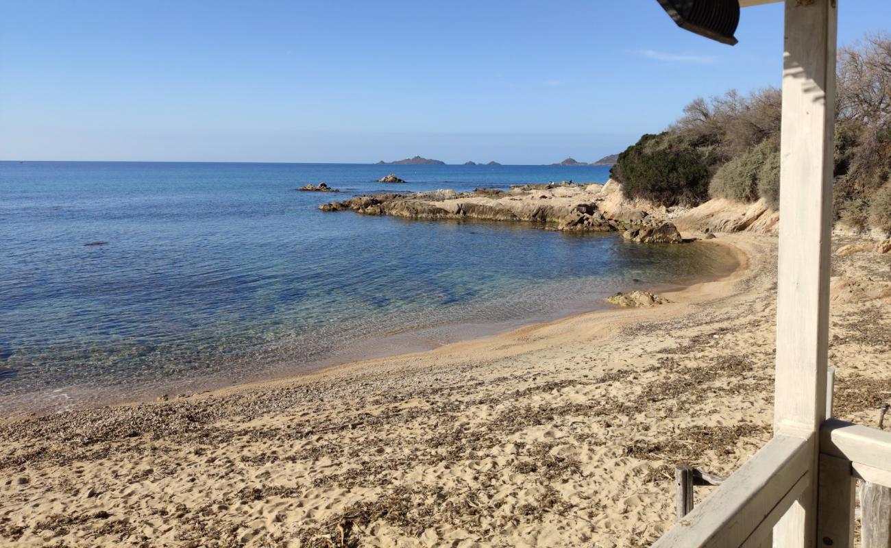 Photo de Scudo beach avec sable beige de surface
