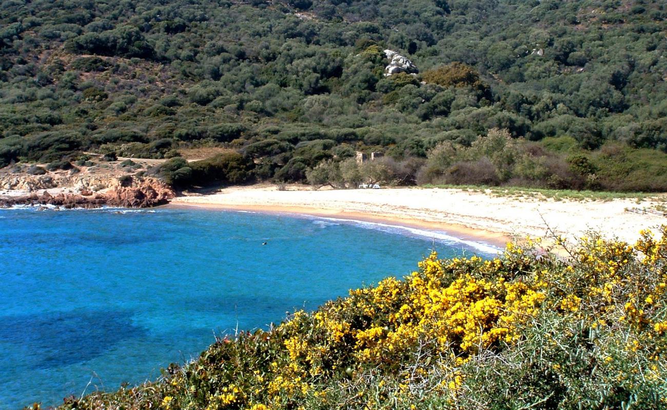 Photo de Cala Di Fico avec sable lumineux de surface