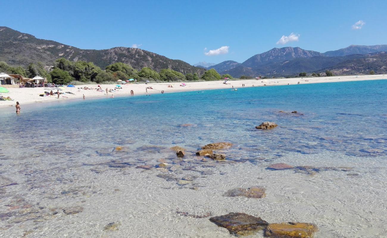 Photo de Liamone beach II avec sable fin et lumineux de surface