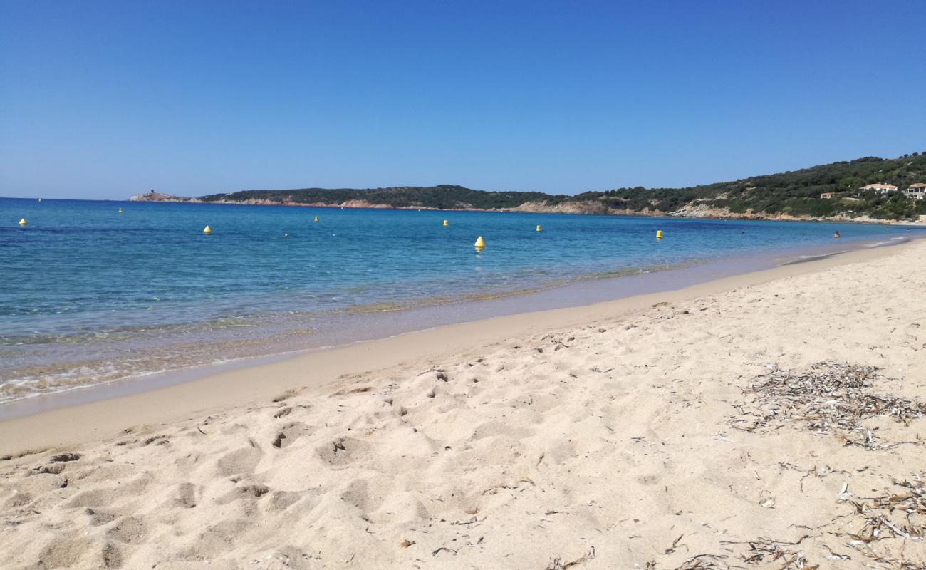 Photo de Plage de Péru avec sable fin et lumineux de surface