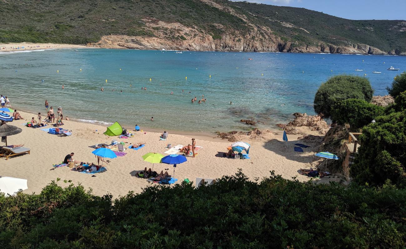 Photo de Plage d'Arone avec sable fin et lumineux de surface