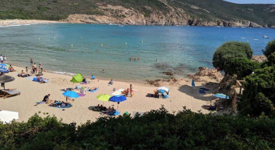 Plage d'Arone