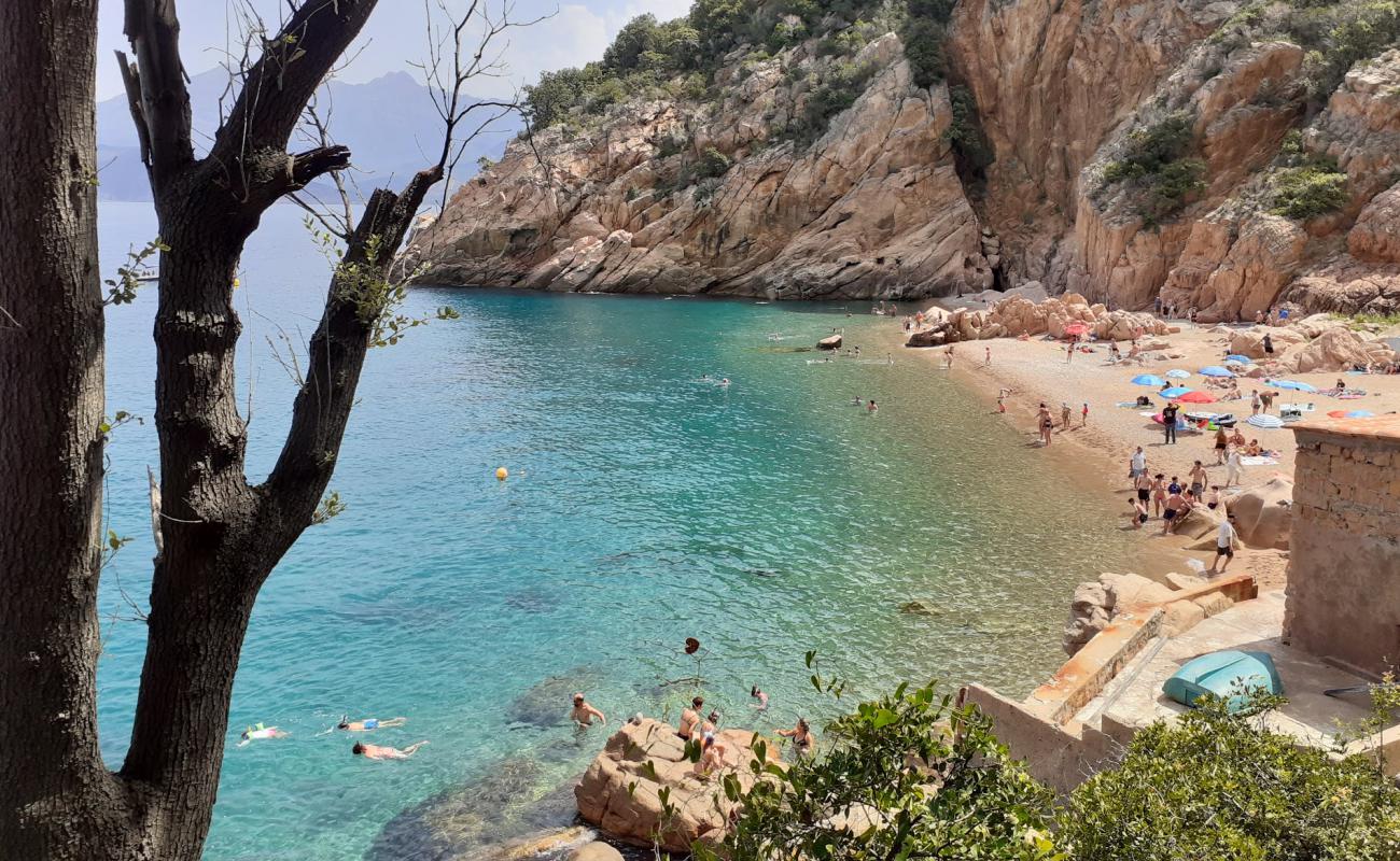 Photo de Ficaghjola beach avec caillou fin clair de surface