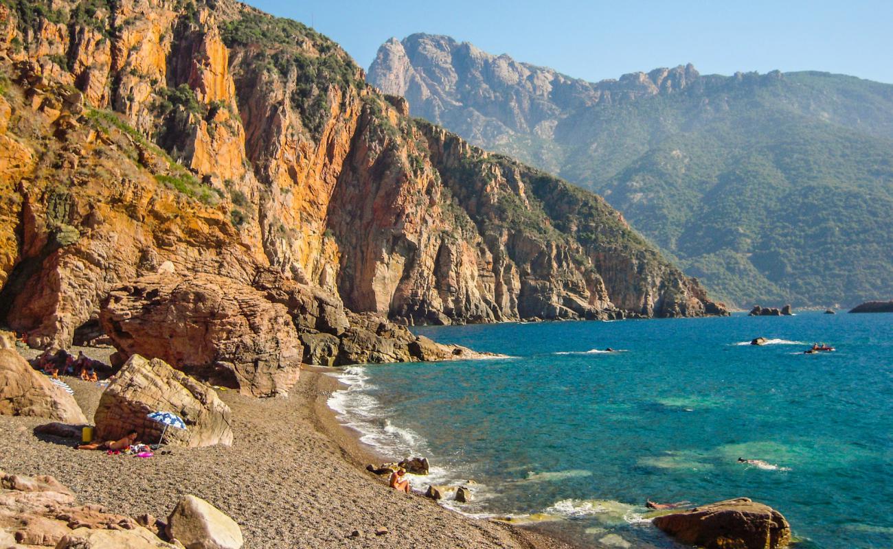 Photo de Plage de Bussaglia avec caillou brun de surface