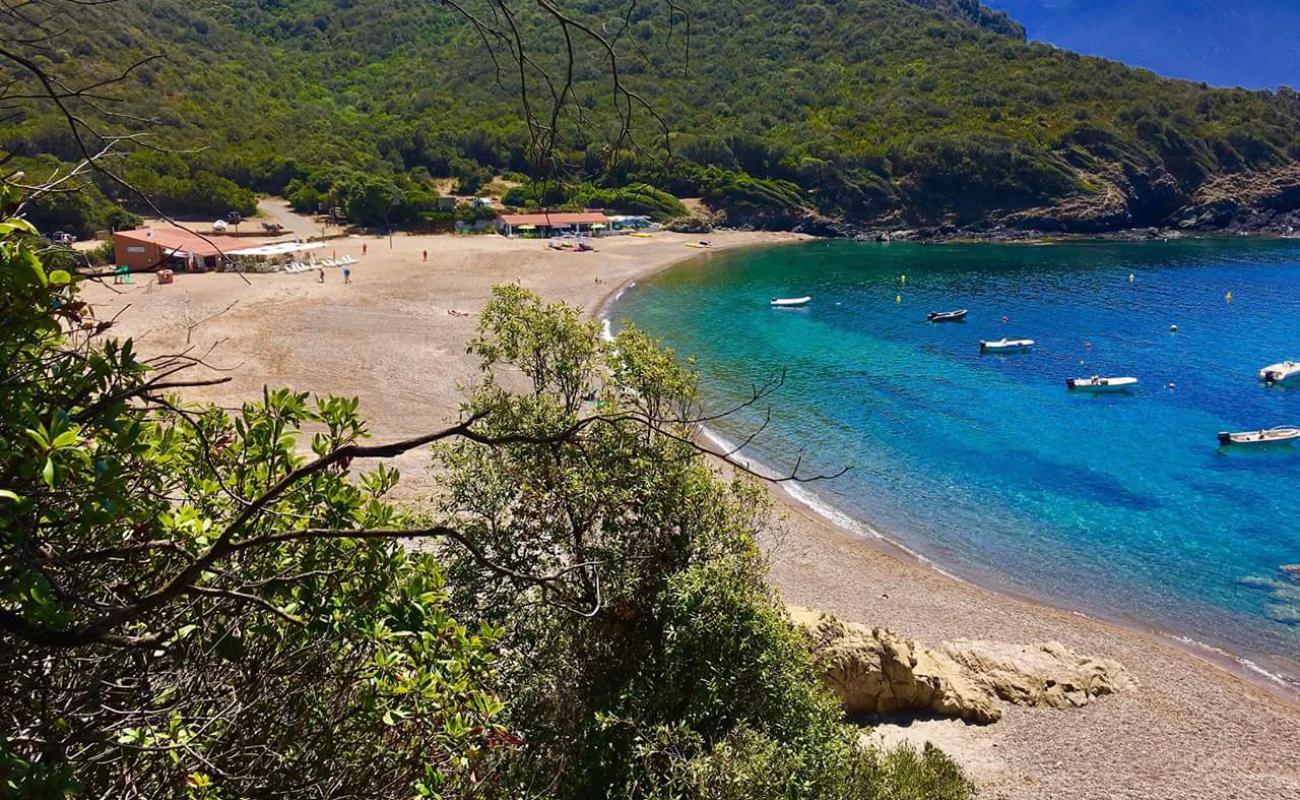 Photo de Plage de Punta Rossa II avec sable lumineux de surface