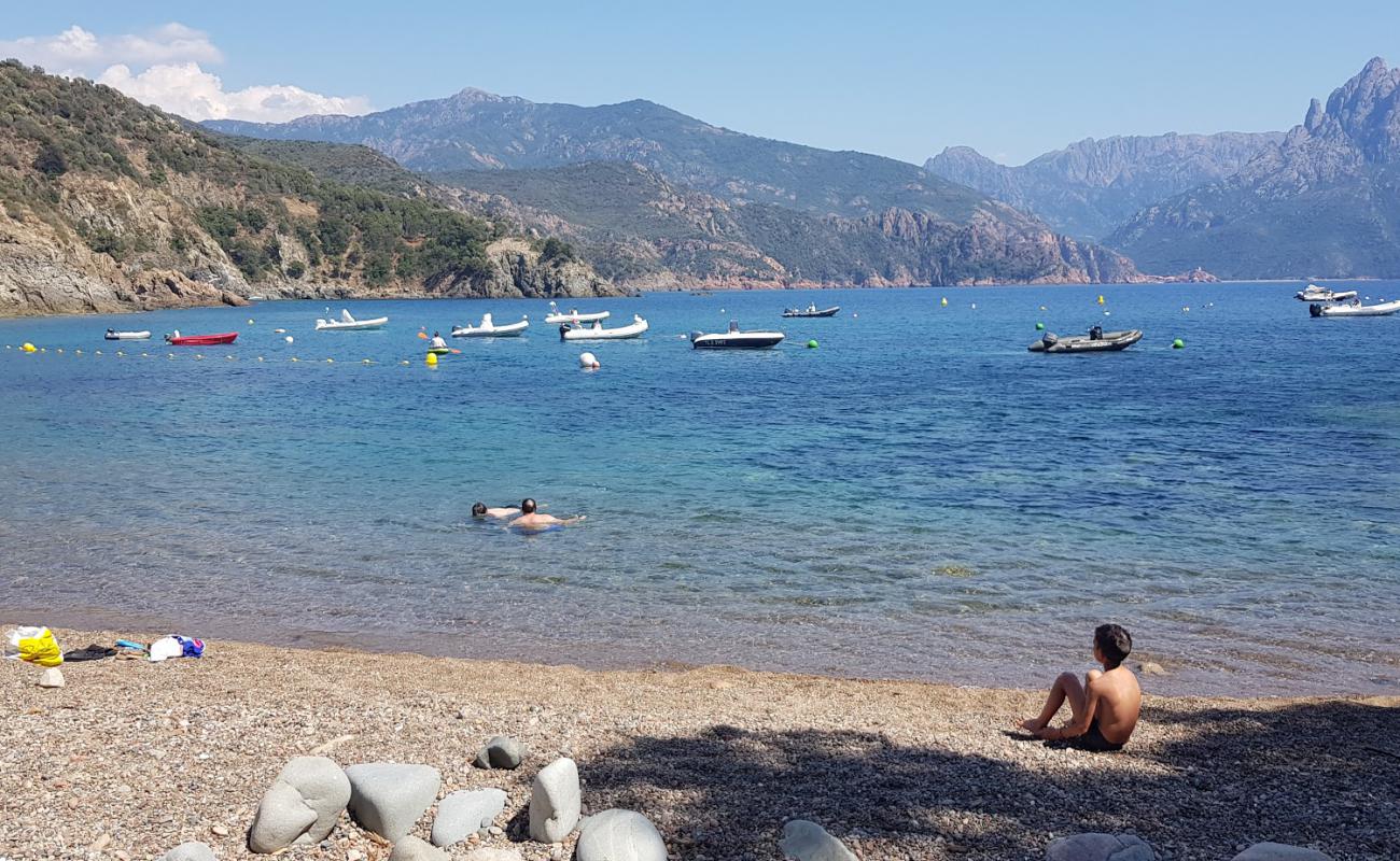 Photo de Plage de Punta Di Latone avec caillou clair de surface