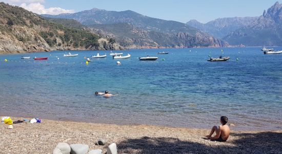 Plage de Punta Di Latone