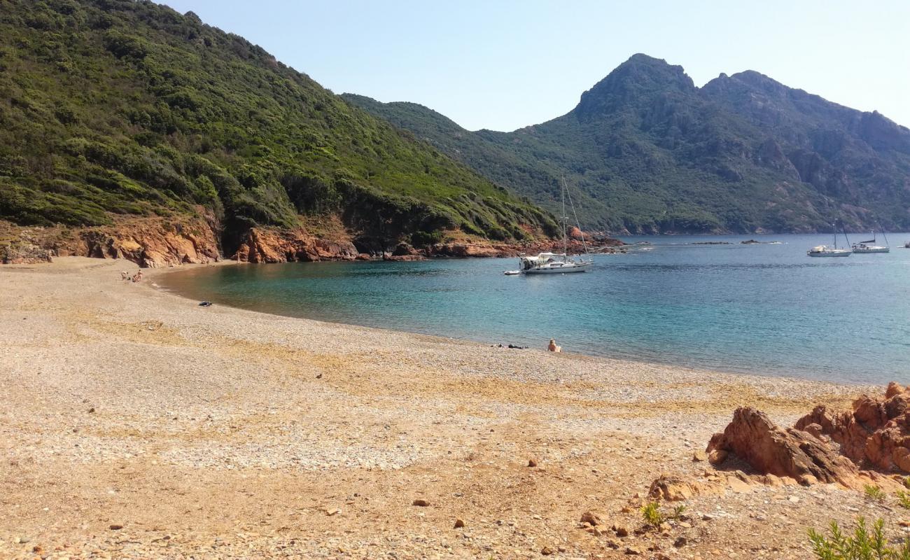 Photo de Osani beach avec un niveau de propreté de très propre