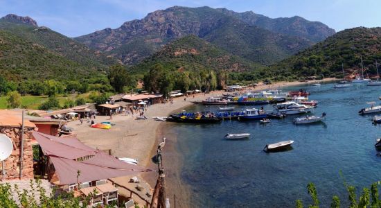 Girolata beach