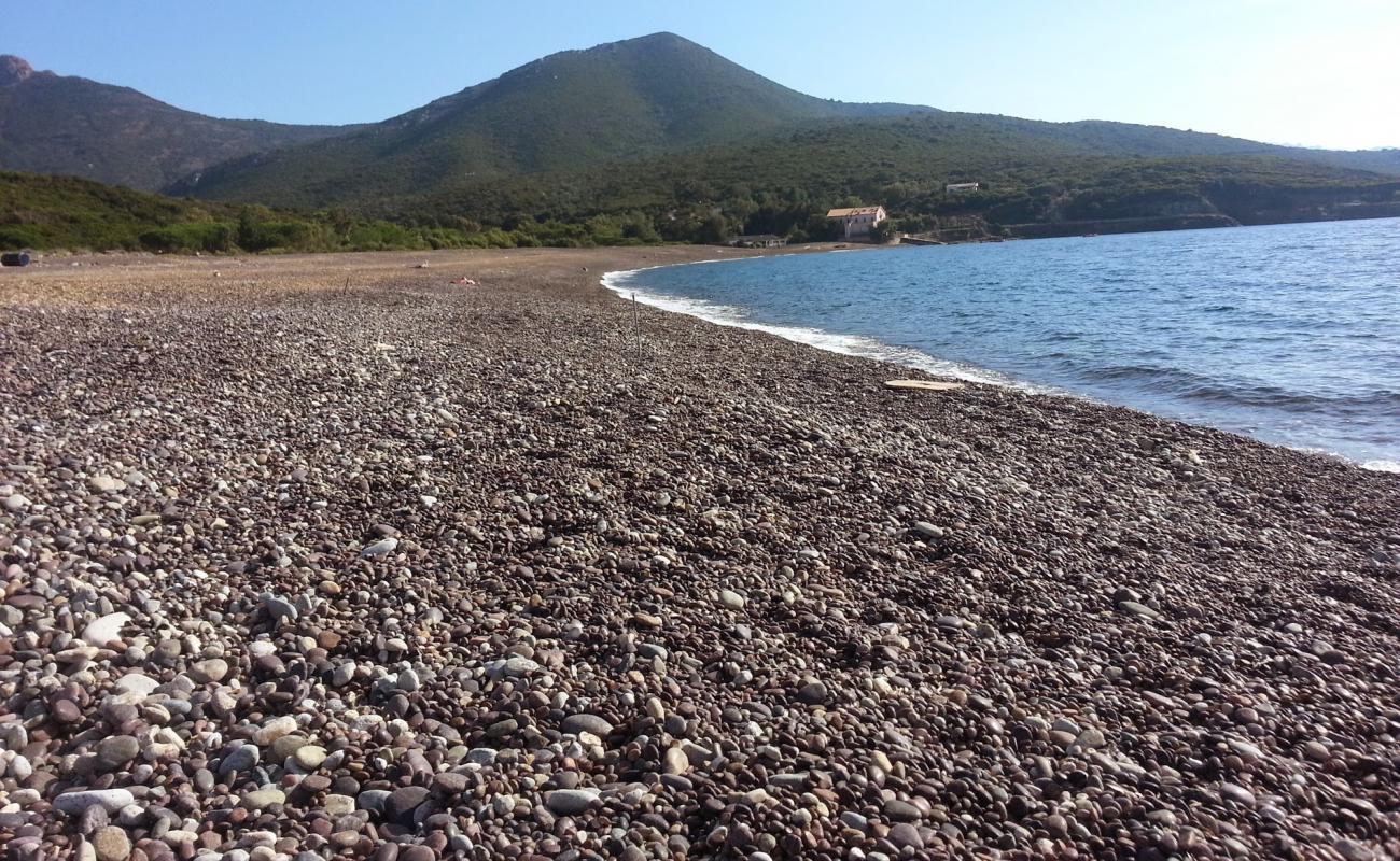 Photo de Astro beach avec caillou fin gris de surface