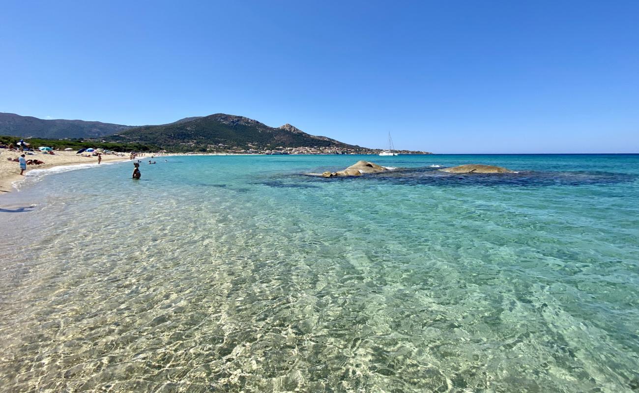 Photo de Plage d'Aregno avec sable lumineux de surface