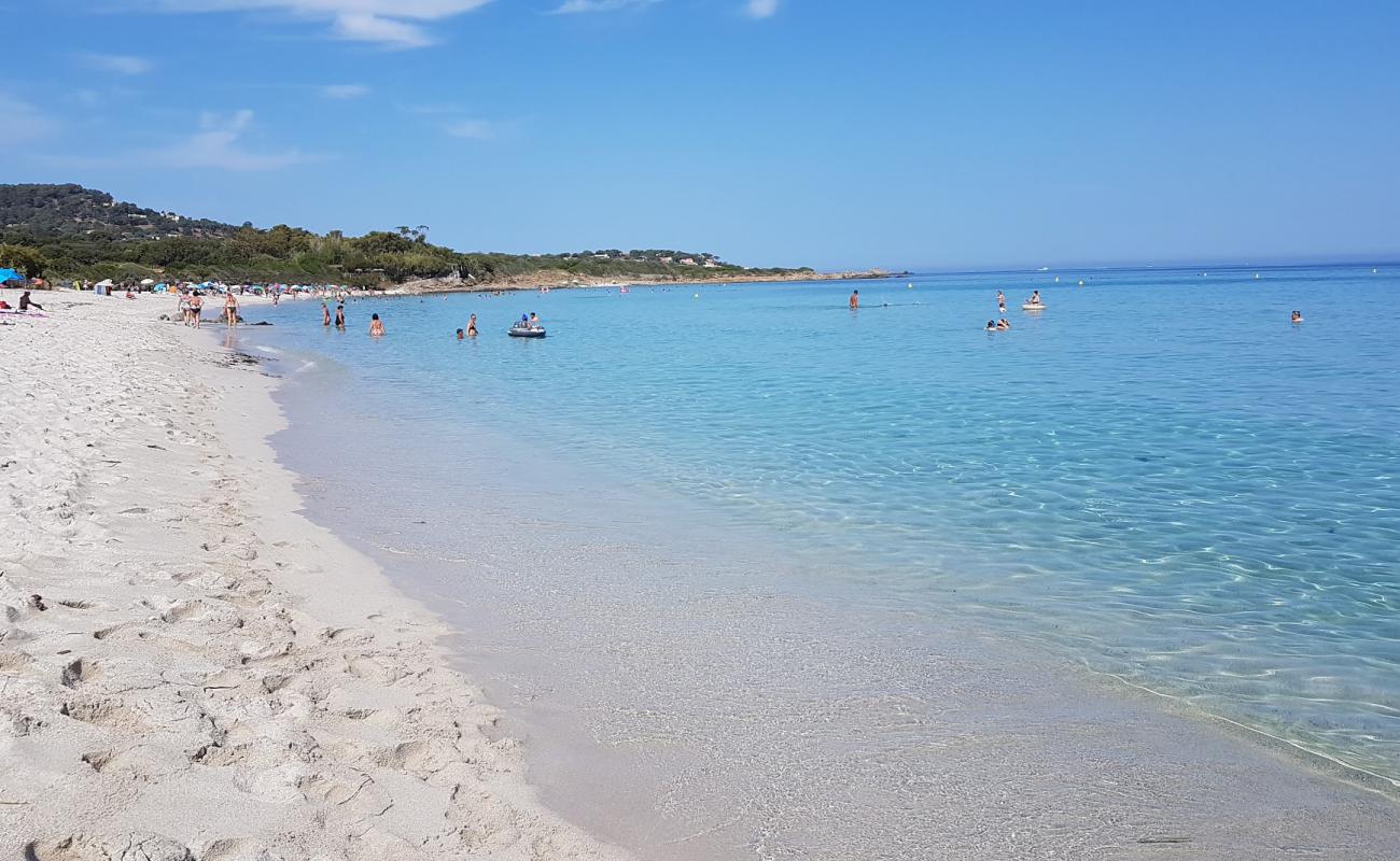 Photo de Plage de Ghjunchitu avec sable beige fin de surface
