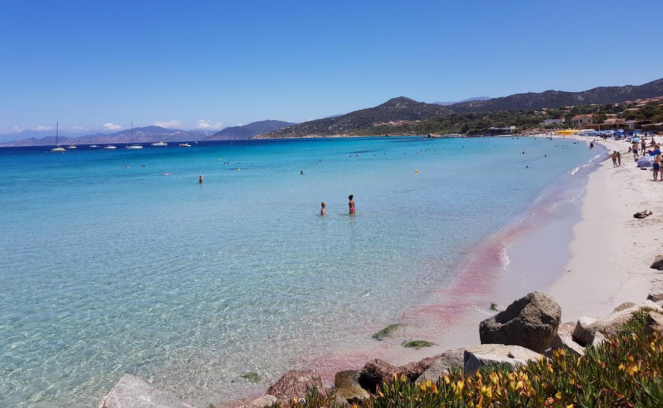 Photo de Plage Ile Rousse avec sable fin et lumineux de surface