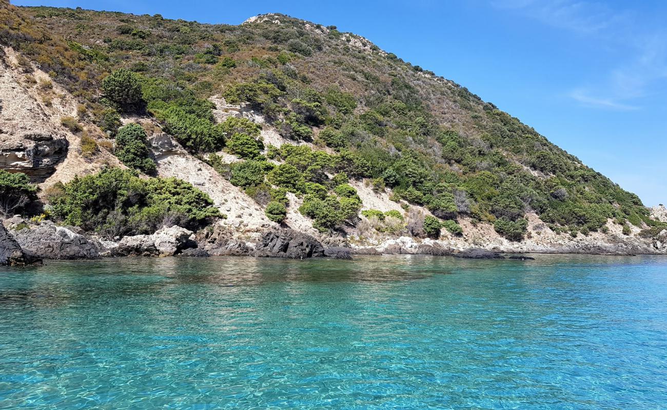 Photo de Acciola beach avec sable lumineux de surface