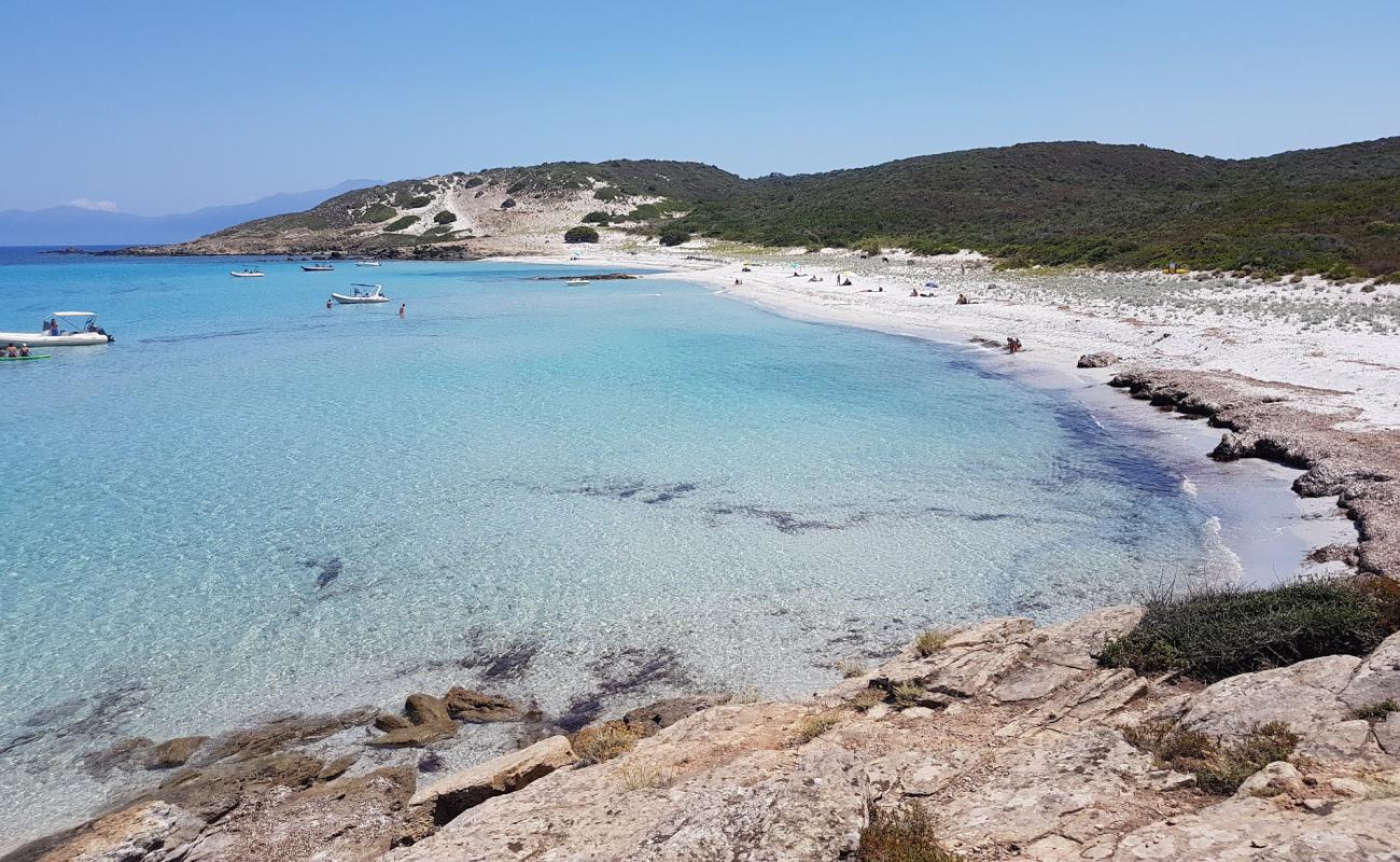 Photo de Ghignu beach avec sable lumineux de surface