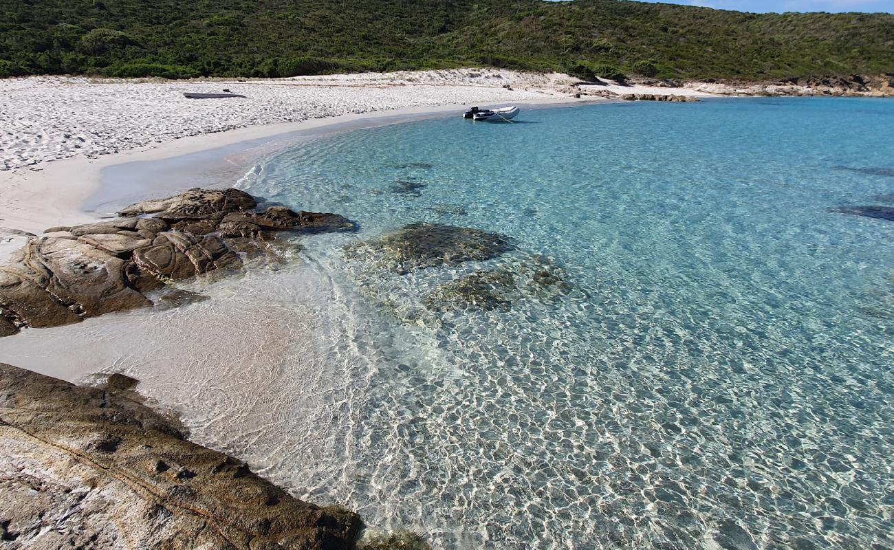 Photo de Trave beach avec sable fin et lumineux de surface