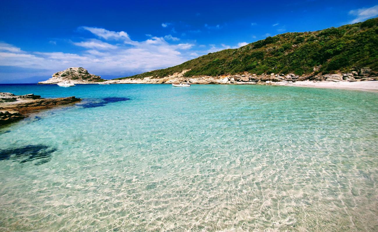 Photo de Petit Loto beach avec sable fin et lumineux de surface