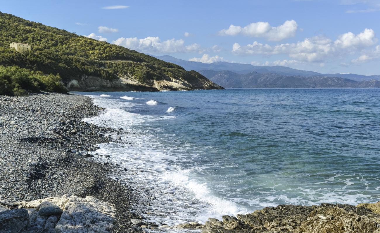 Photo de Farinole beach II avec roches de surface