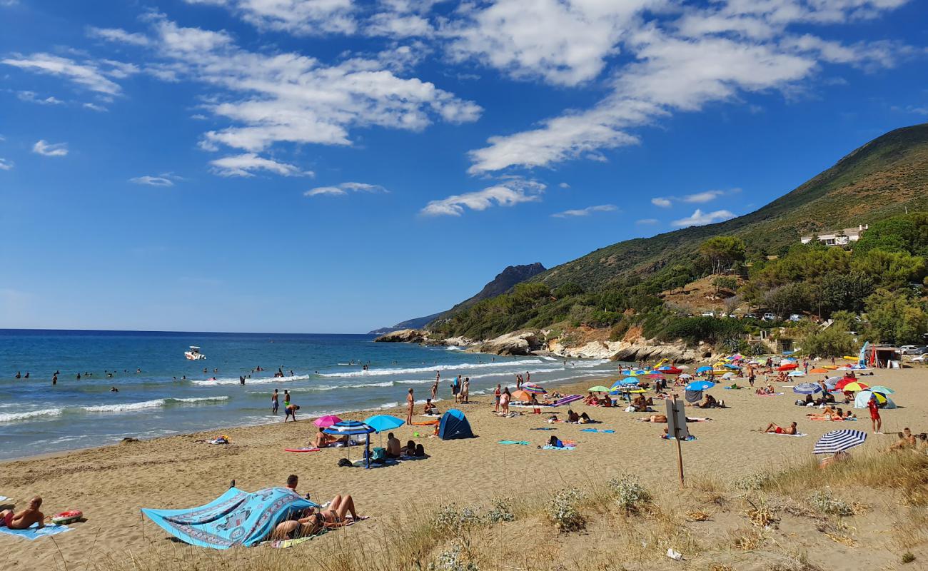 Photo de Farinole beach avec sable beige de surface
