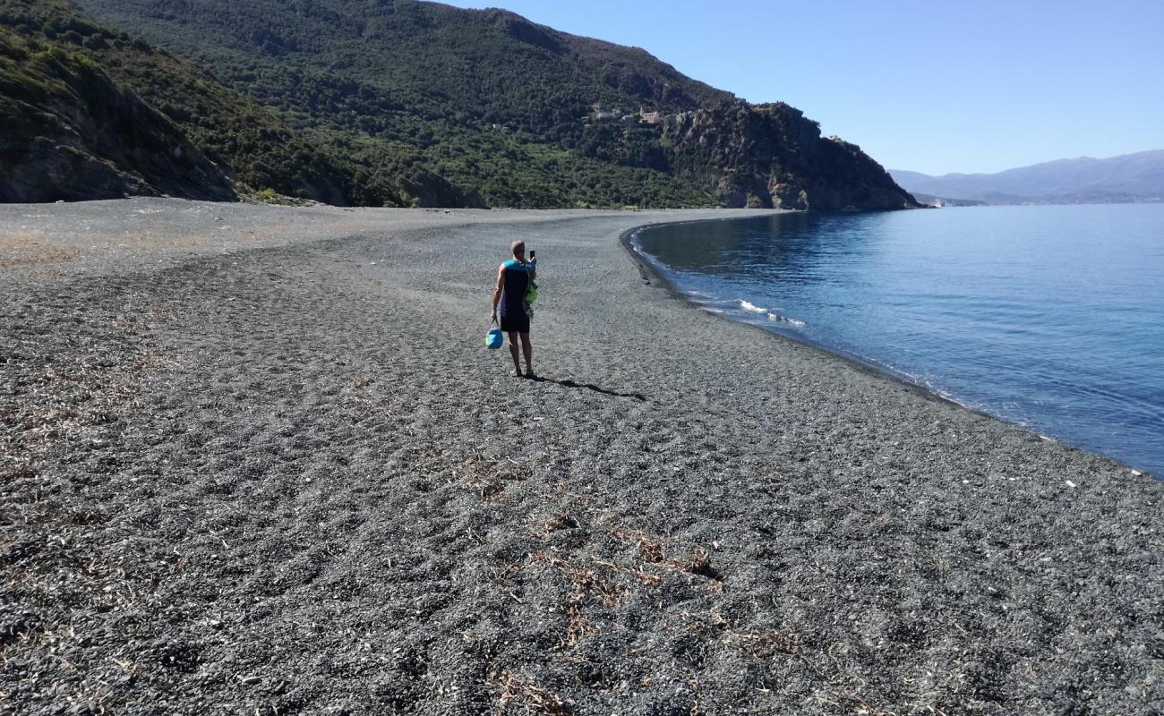 Photo de Plage de Nonza avec caillou gris de surface