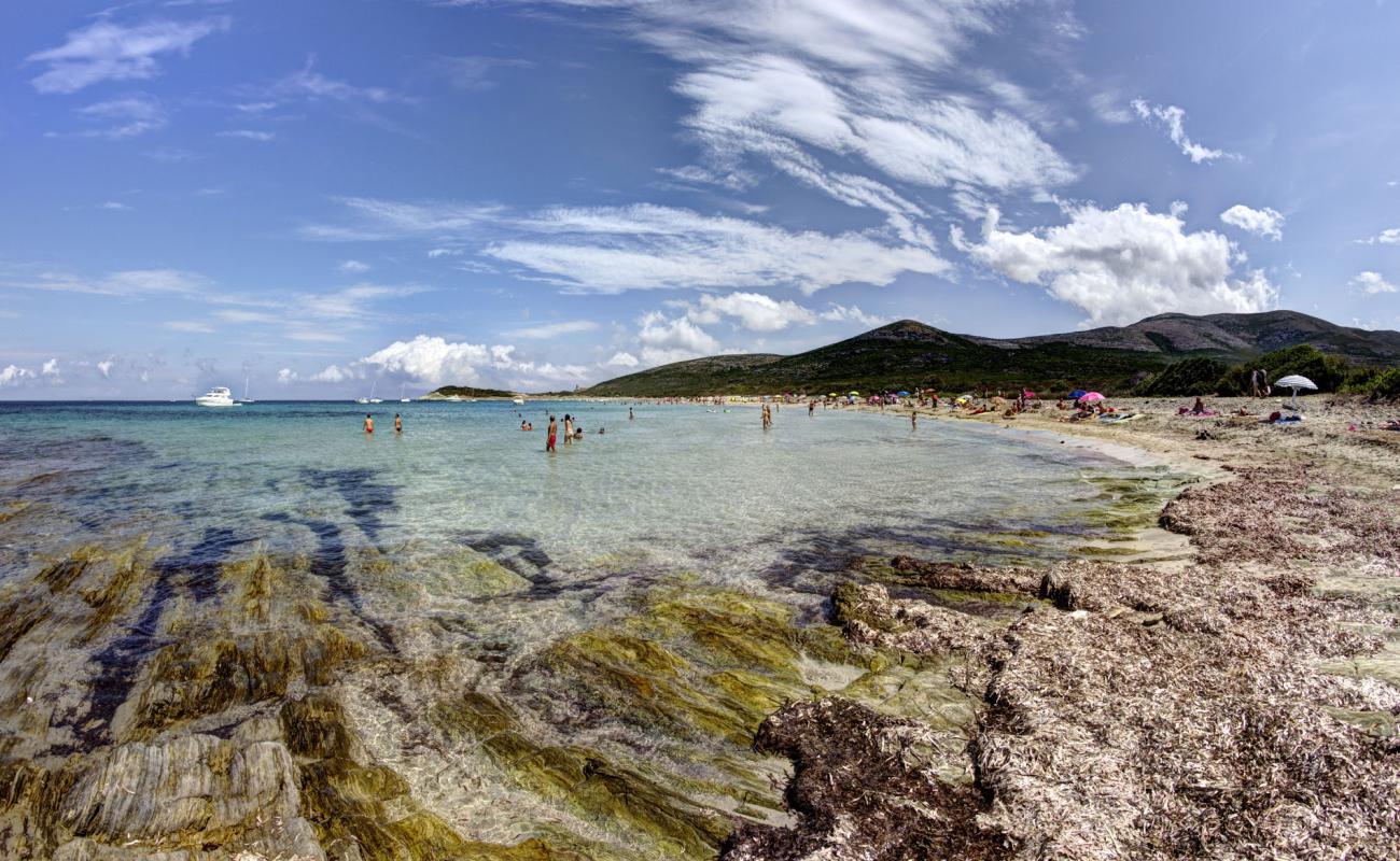 Photo de Barcaggio beach avec sable lumineux de surface