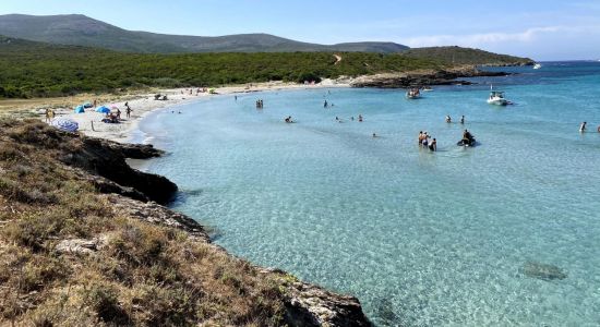 Cala Genovese beach