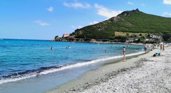 Plage de Pietracorbara