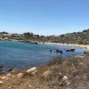 Plage de Cala Sderenaia