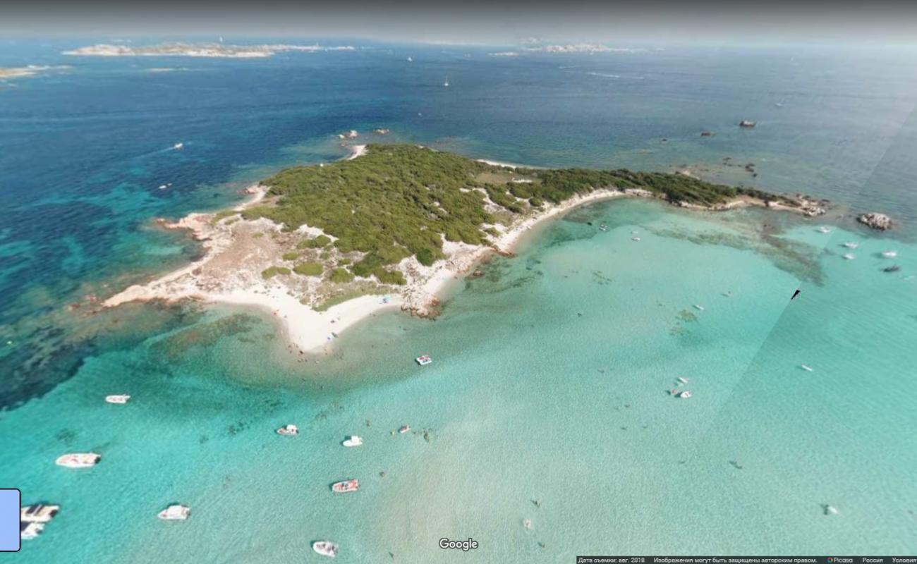 Photo de Île Piana avec plage sans baie