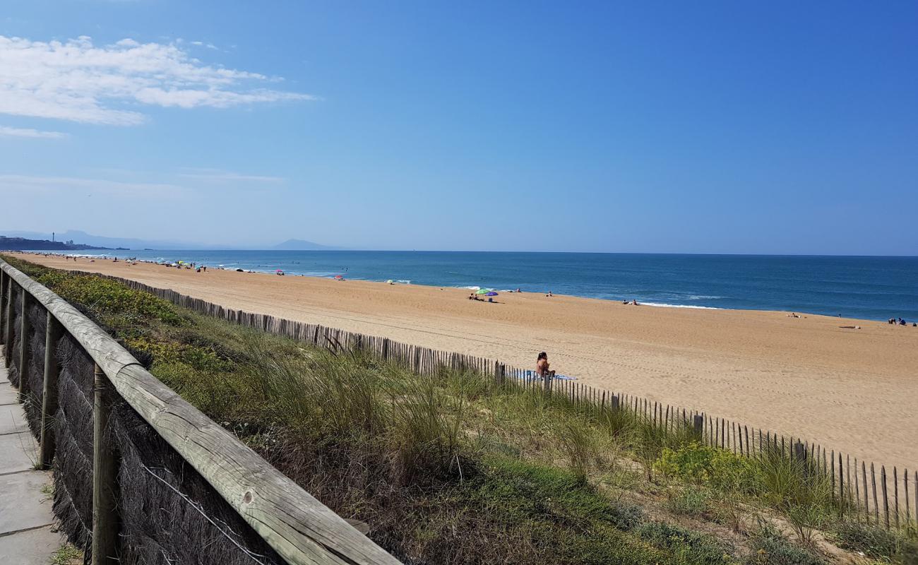 Photo de La Madrague avec caillou fin clair de surface