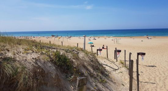 Plage du métro