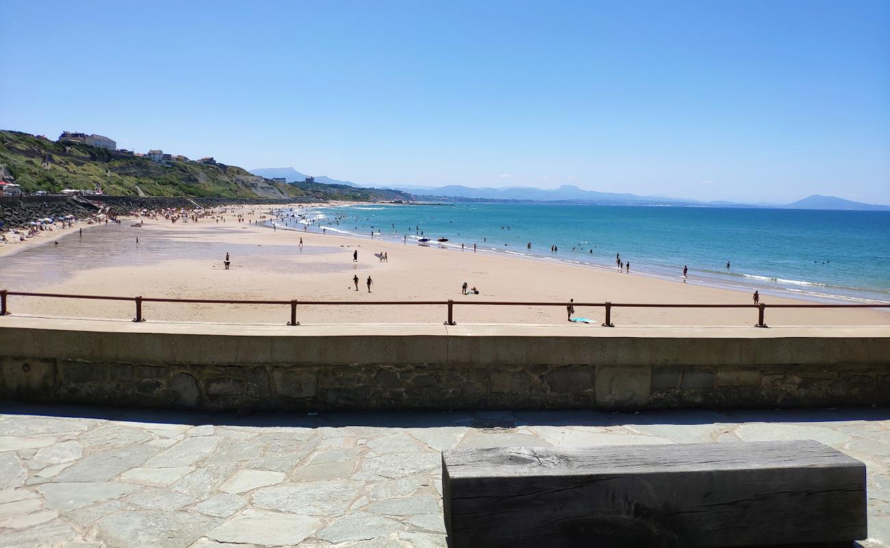 Photo de Plage de Contis avec sable fin blanc de surface