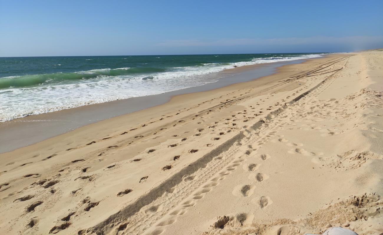 Photo de Plage de l'Espécier avec sable fin blanc de surface