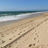 Plage de l'Espécier