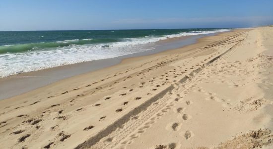 Plage de l'Espécier