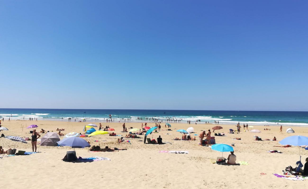 Photo de Plage de Biscarrosse avec sable fin blanc de surface