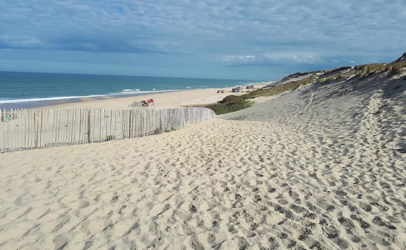 Photo de Le Pin beach avec sable lumineux de surface