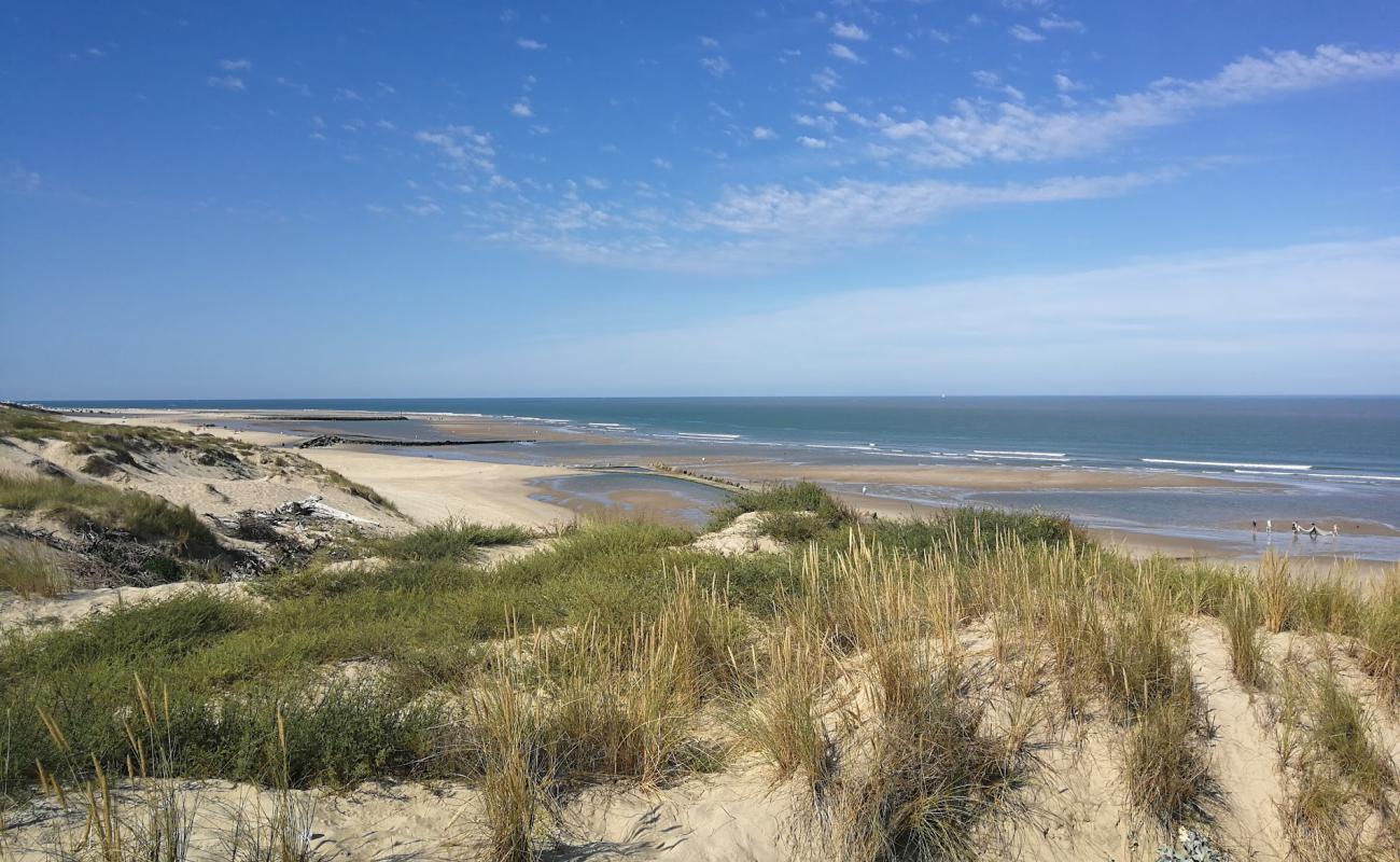 Photo de Plages des Arros avec sable blanc de surface