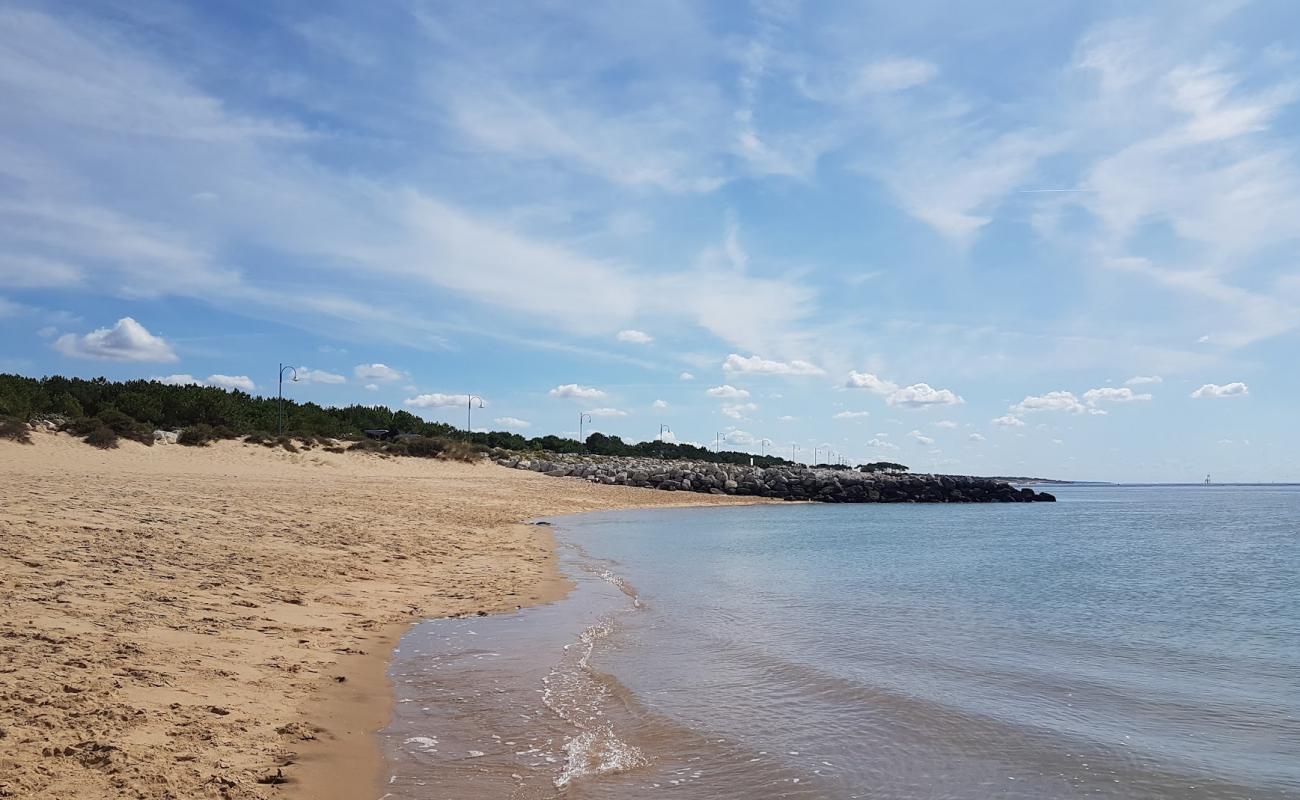 Photo de Plage de la Palmyre avec sable blanc de surface